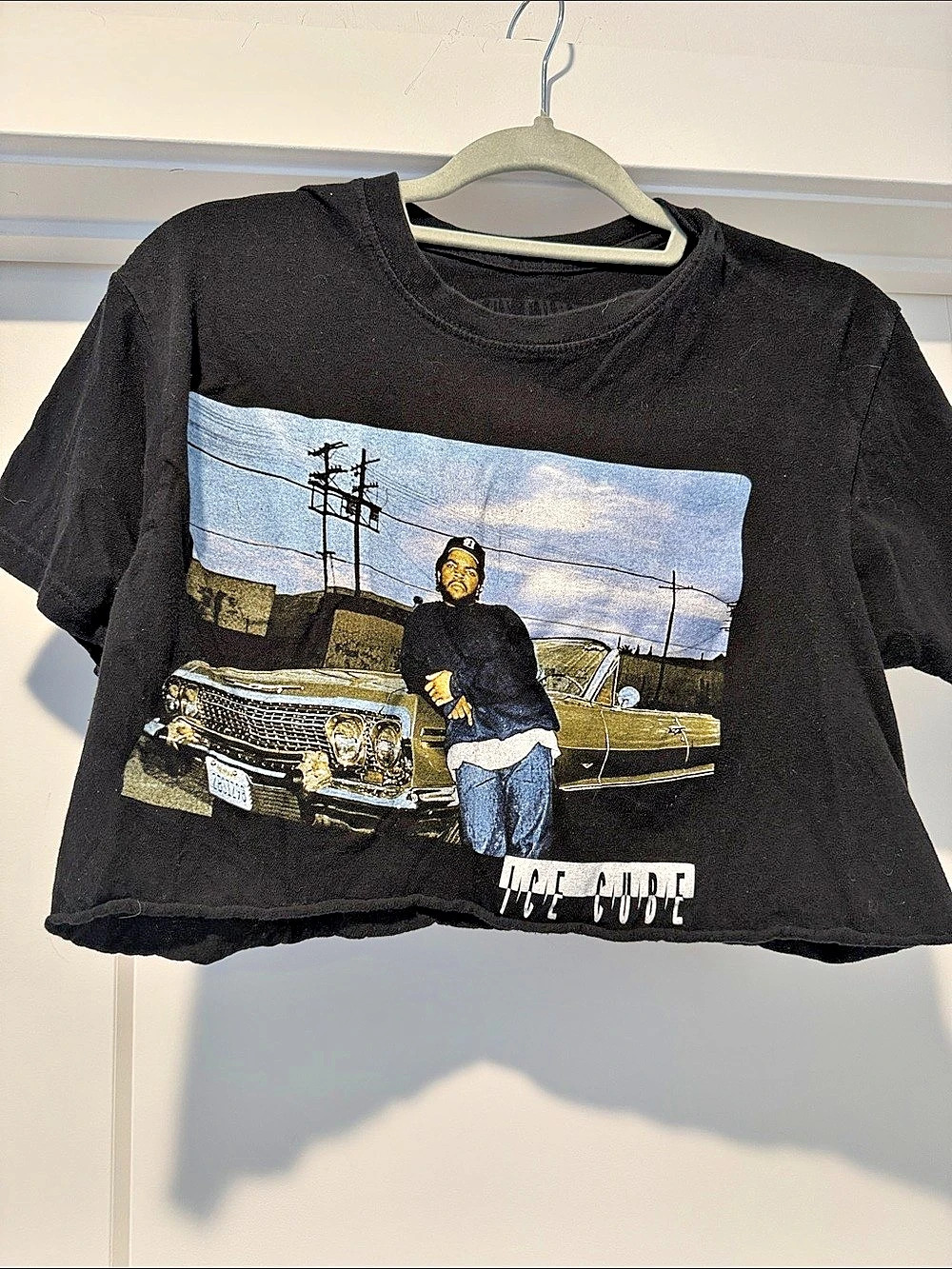 Graphic Ice Cube Cropped Short Sleeve Tee20